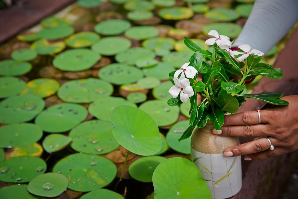 Mingtang Garden 名堂花园度假屋 Pokhara