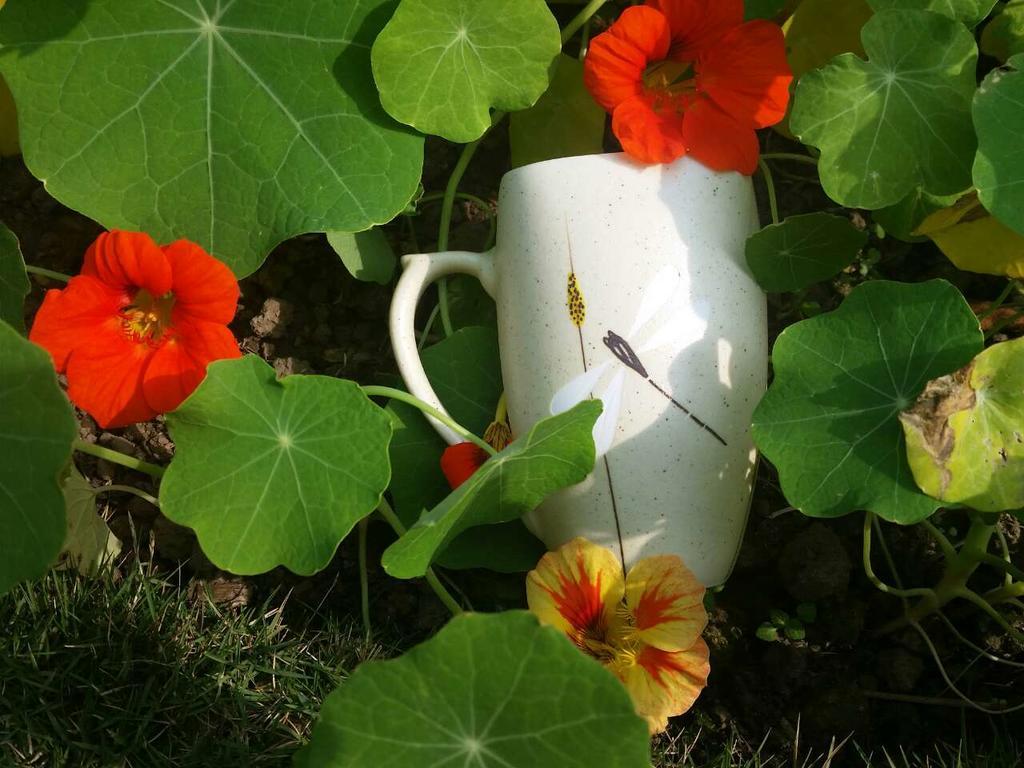 Mingtang Garden 名堂花园度假屋 Casa vacanze