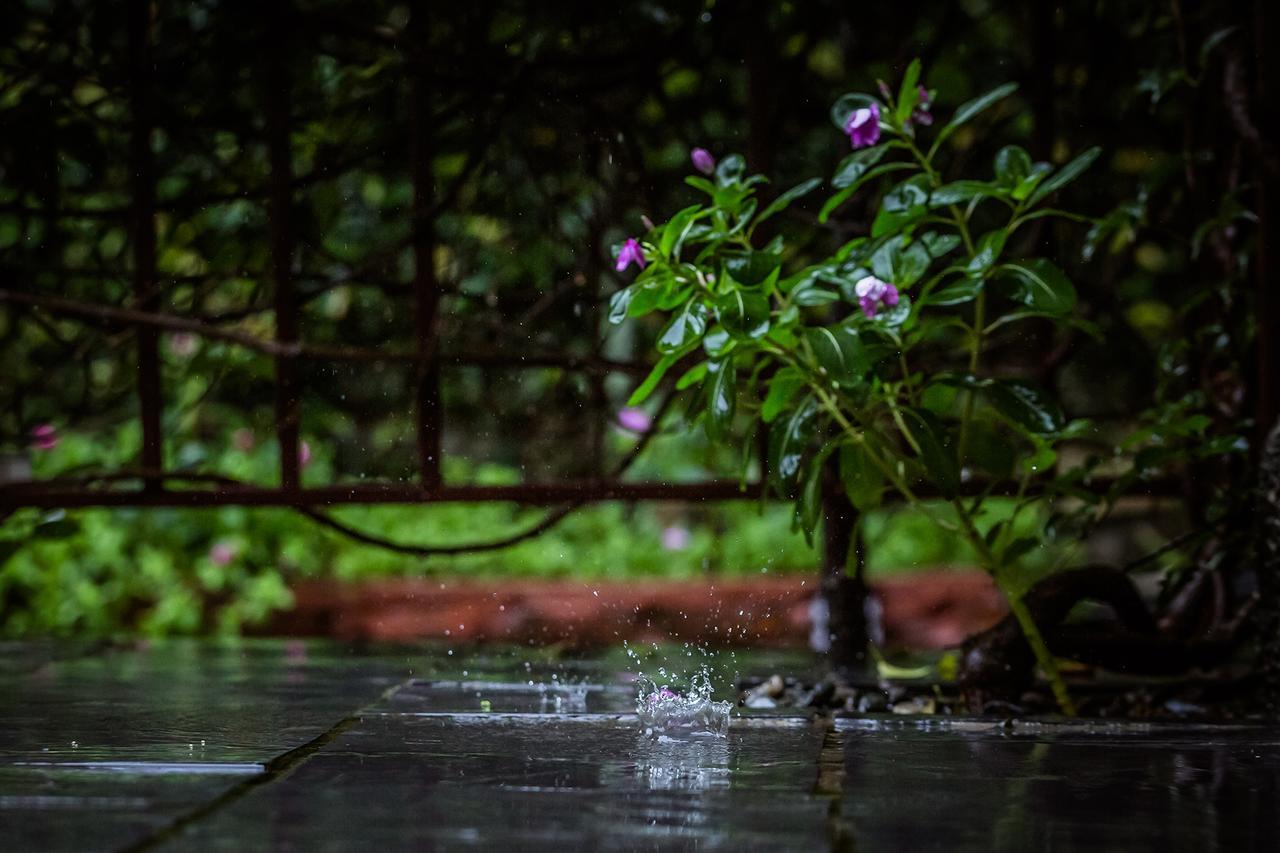 Mingtang Garden 名堂花园度假屋 *
